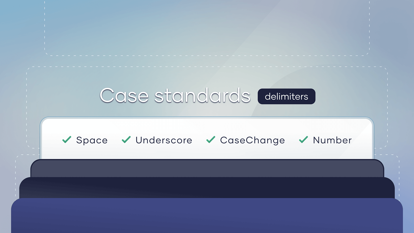 Case standards application SqlDBM